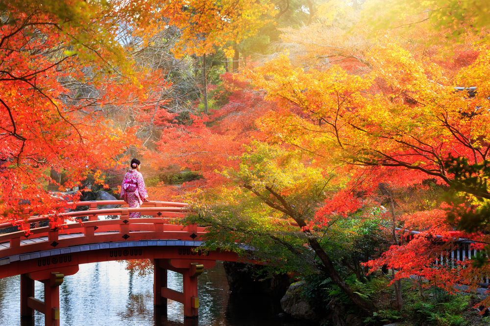 【秋紅葉をたのしむ！】お勧めの場所や服装について