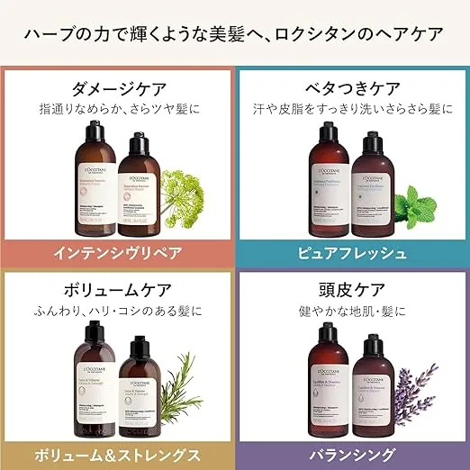 「ロクシタンのヘアケアシリーズ4種比較|ダメージ補修のインテンシヴリペア、皮脂ケアのピュアフレッシュ、ボリュームアップのストレングス、頭皮ケアのバランシング」