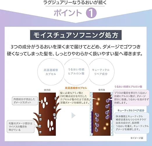 「モイスチュアソフニング処方の図解|高浸透保水カプセル・高保湿ヒアルロン酸・エモリエントオイルが髪内部に潤いを届けてゴワついた髪を柔らかく整える処方イメージ」