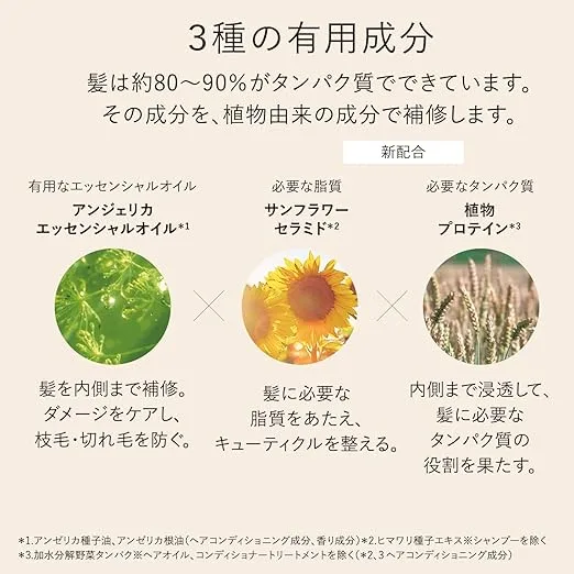「髪の内部補修に効果的な3種の有用成分|アンジェリカエッセンシャルオイル・サンフラワーセラミド・植物プロテインによる植物由来のヘアケア成分解説」