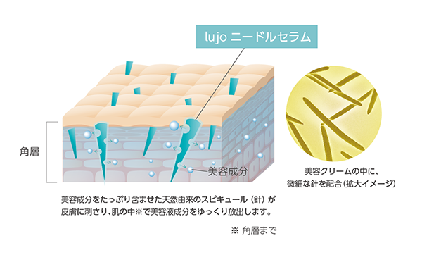 「lujoニードルセラムがスピキュール(天然針)で角質層に美容成分を浸透させるメカニズム図解|微細な針が美容クリーム内に含まれ肌にゆっくり浸透」