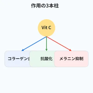 ビタミンCの作用の三本柱（コラーゲン合成・抗酸化・メラニン生成抑制）を示す図