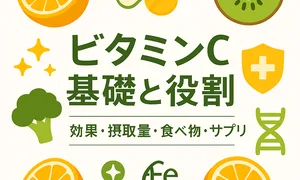 医師推奨のビタミンC基礎ガイド｜効果・摂取量・食べ物とサプリの選び方を図解したサムネイル
