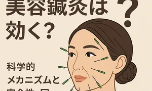 ほうれい線に美容鍼灸は効く？頬や口周りに鍼を打つ女性のイラスト。効果の科学的メカニズム、安全性、適切な施術回数ガイドを解説する特集画像。