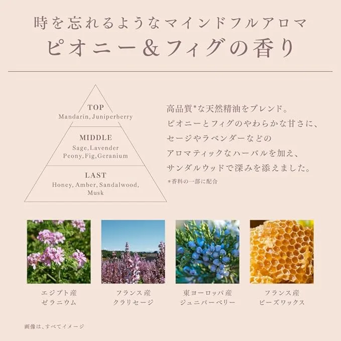 ピオニー＆フィグの香り解説図｜香りピラミッド：トップ＝マンダリン・ジュニパーベリー／ミドル＝セージ・ラベンダー・ピオニー・フィグ・ゼラニウム／ラスト＝ハニー・アンバー・サンダルウッド・ムスク。