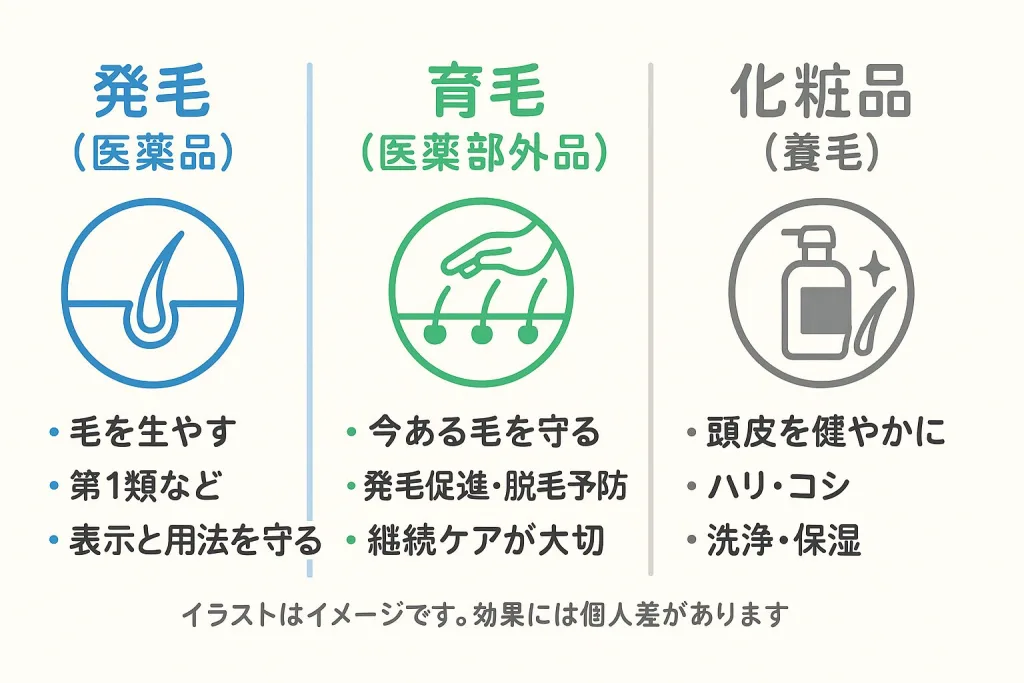 発毛と育毛と化粧品の違いをわかりやすく整理した早見表。発毛は医薬品で毛を生やす、育毛は医薬部外品で今ある毛を守る、化粧品は頭皮を健やかに保つ目的を示した図解。