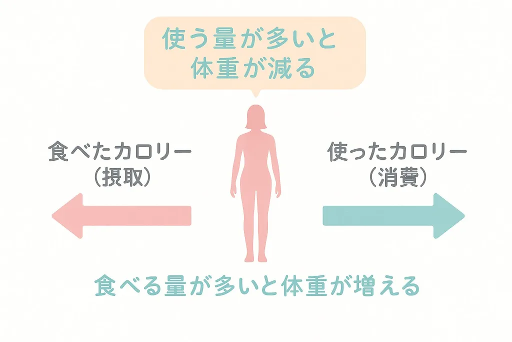 ダイエット 基礎知識：カロリー収支の仕組み図。食べたカロリーと使ったカロリーのバランスを矢印で示し、「使う量が多いと体重が減る」と説明するイラスト。