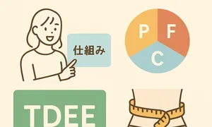 ダイエット 基礎知識の図解イメージ。PFCバランス・TDEE・減量のコツを女性キャラクターが指し示しながら説明。食事と運動の仕組みをやさしくまとめた初心者向けダイエット入門イラスト。