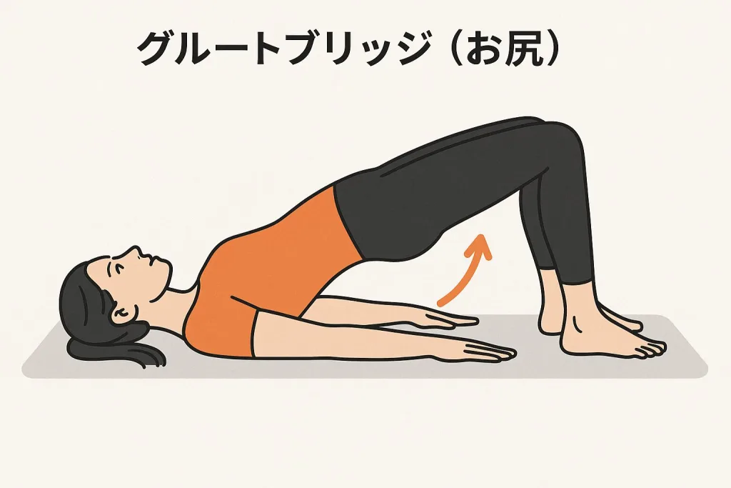 グルートブリッジ（ヒップリフト）の正しいフォームを示すイラスト。仰向けで寝た女性が膝を曲げ、かかとで床を押してお尻を持ち上げる動作を行う。お尻・もも裏・体幹を鍛える基本トレーニング。