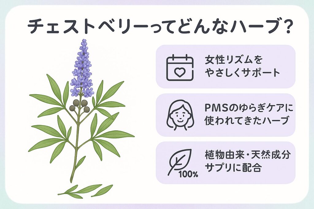チェストベリーってどんなハーブかを説明する図解画像｜紫の花と実のチェストベリーイラストと「女性リズムをやさしくサポート」「PMSのゆらぎケアに使われてきたハーブ」「植物由来・天然成分サプリに配合」というテキストが並ぶ日本製チェストベリーサプリ解説用ビジュアル
