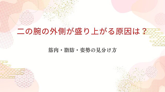 二の腕の外側が盛り上がる原因を筋肉・脂肪・姿勢の見分け方とともに解説するアイキャッチ画像