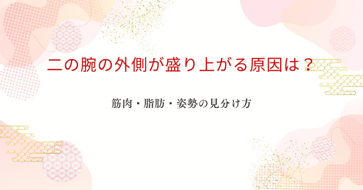 二の腕の外側が盛り上がる原因を筋肉・脂肪・姿勢の見分け方とともに解説するアイキャッチ画像