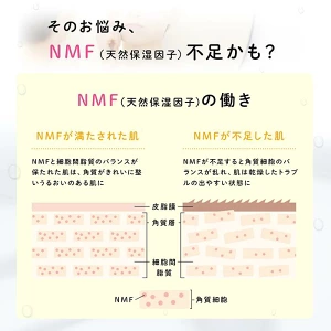 NMF天然保湿因子と乾燥肌の関係を説明するスキンケア補足画像