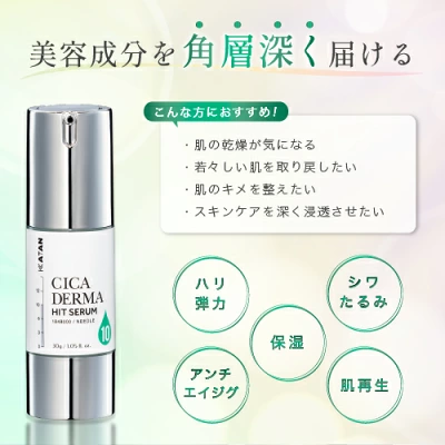 KATAN CICA ダーマヒットセラム10の特徴を確認する画像