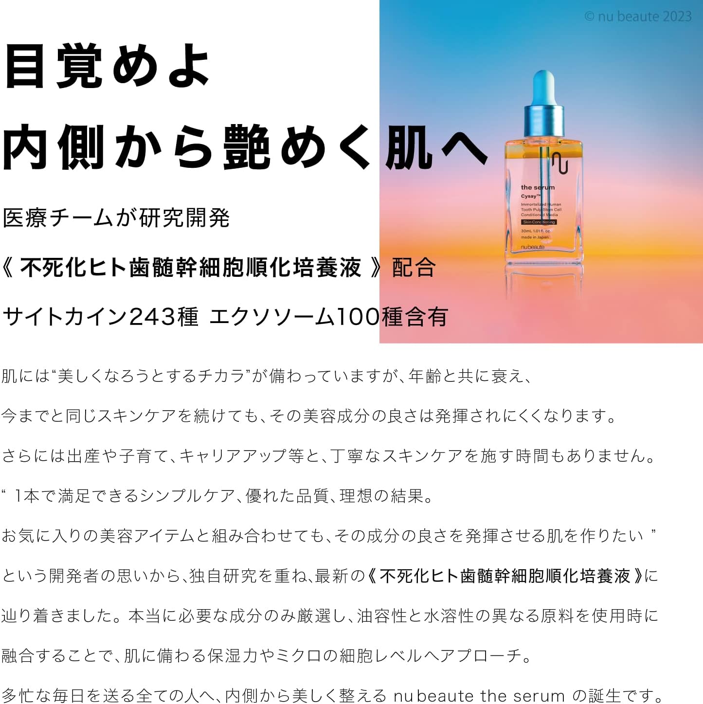 ヌボーテ ザ セラムの特徴成分とスキンケア視点の確認ポイントを紹介する画像